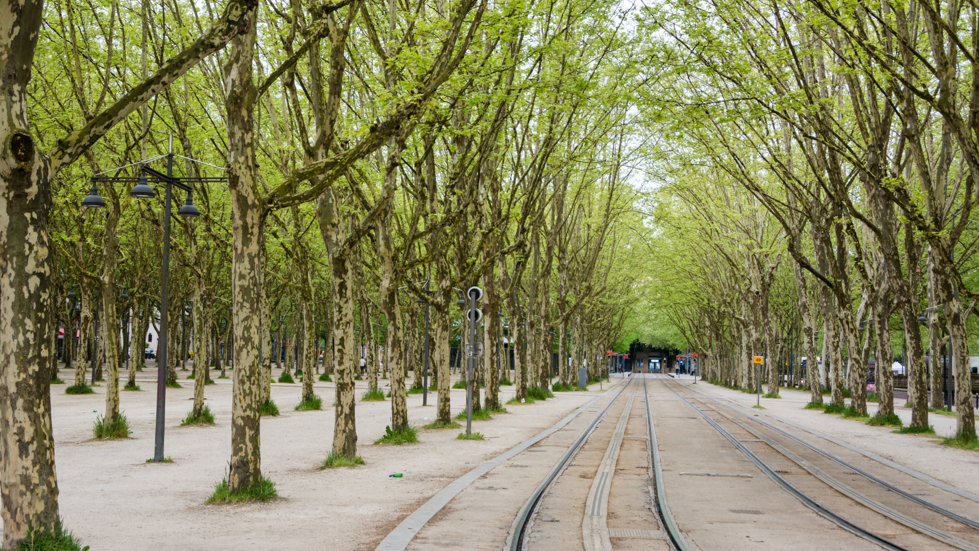 France Bordeaux Tram in Parc